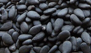��֥��ԭ��